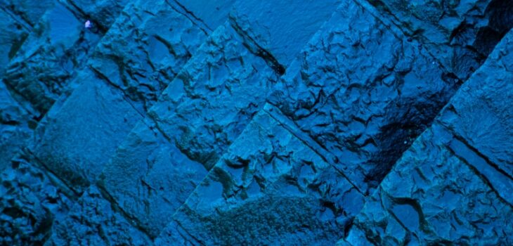 Denim Wallpaper (Yes, Really) - Carpet Denim