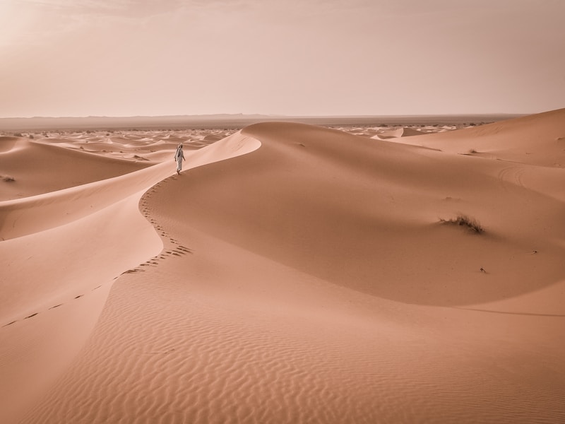 Indigo Berber - Carpet Denim